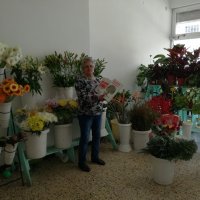 vida flor